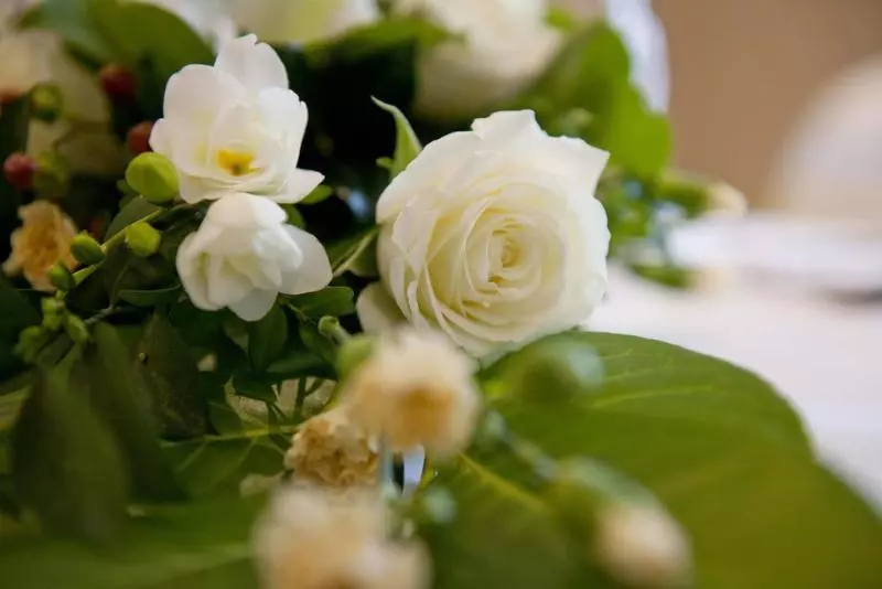 فندق Alexandra House