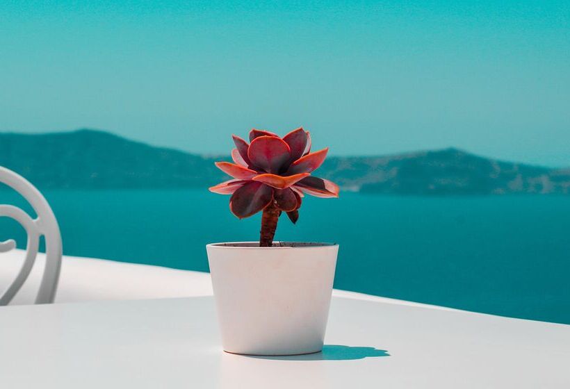 فندق Athina Luxury Suites