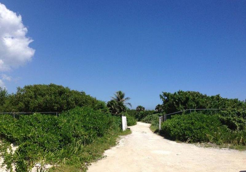 酒店 Casa De Los Angeles