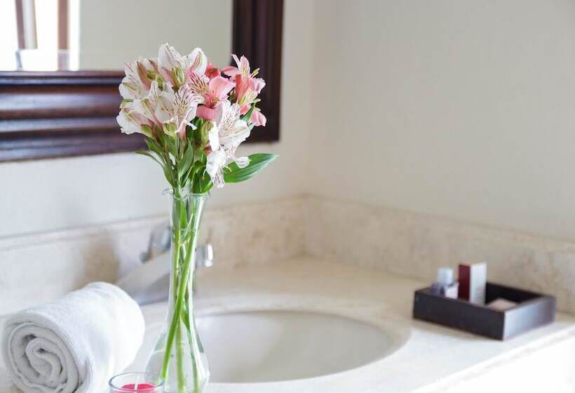 Отель Mision Catedral Morelia