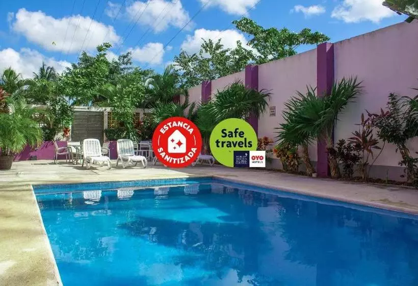 Отель The Magic