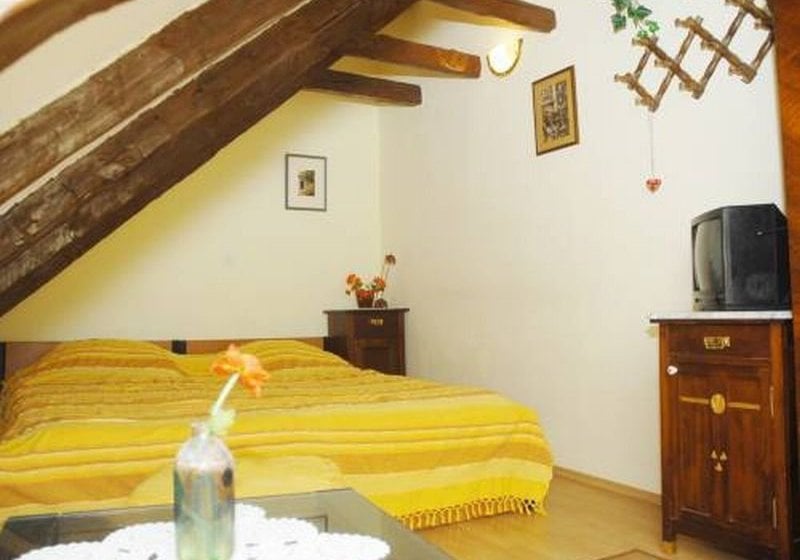 Nives Racic's Nikole Bozidarevica