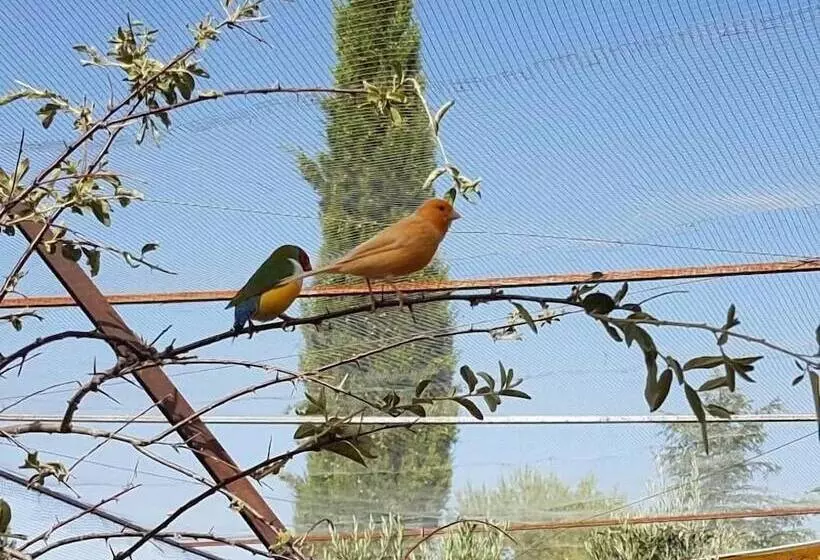 Complejo Rural Ibipozo