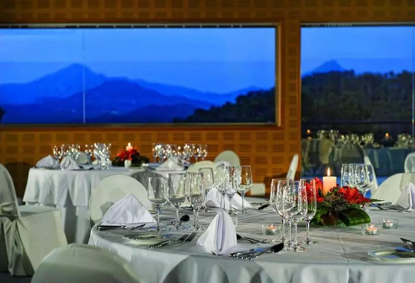 ホテル Hilton Mallorca Galatzo