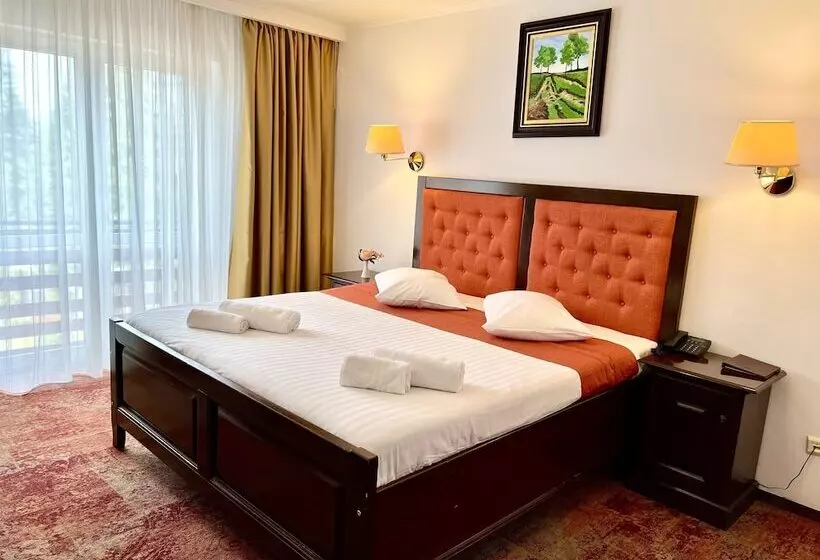 ホテル Piatra Mare