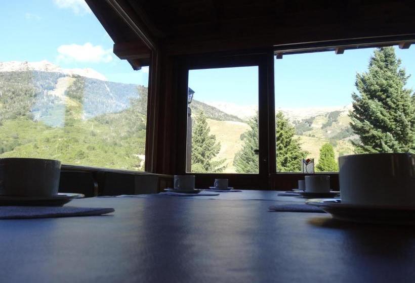 בית מלון כפרי Punta Condor