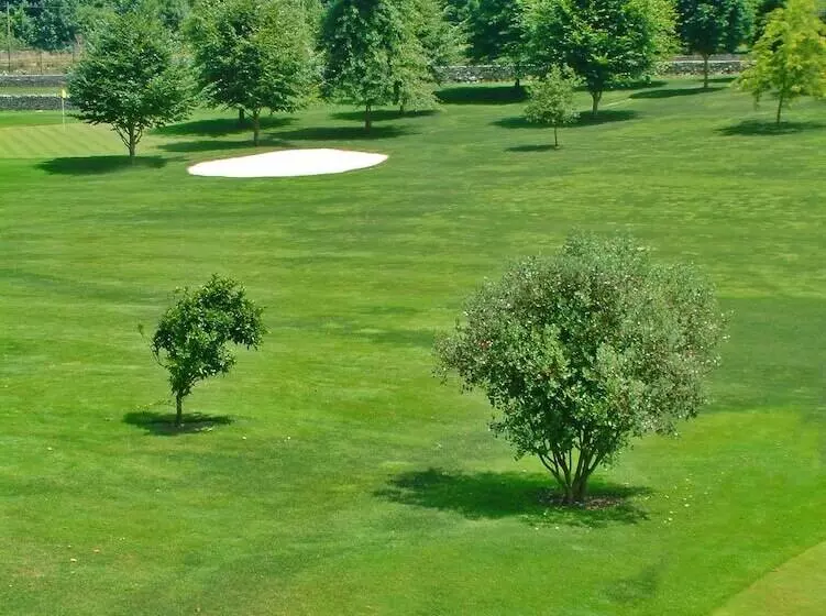 Отель Aldama Golf