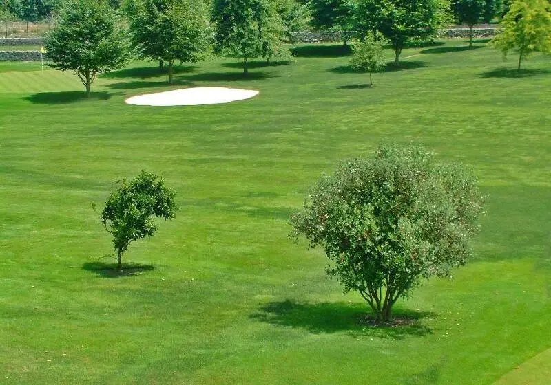 ホテル Aldama Golf
