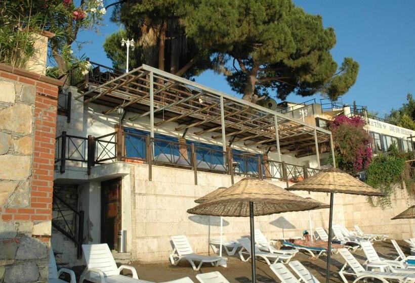 בית מלון כפרי Arora