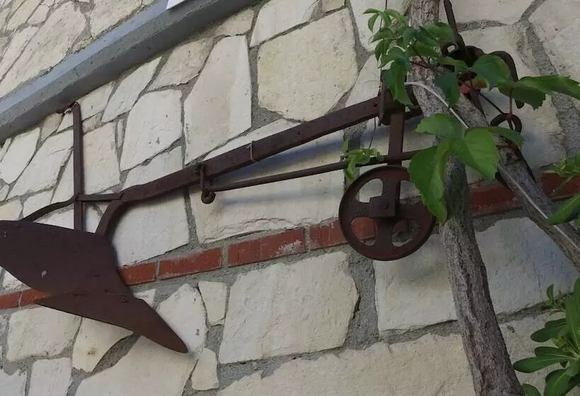 호텔 Green House Apart