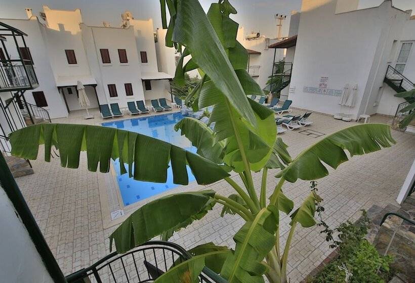 בית מלון כפרי Green House Apart