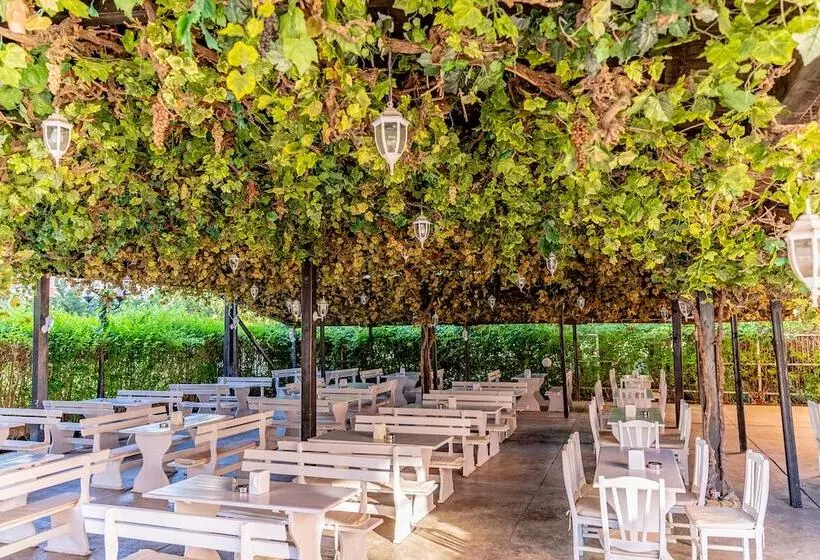 호텔 Izola Paradise