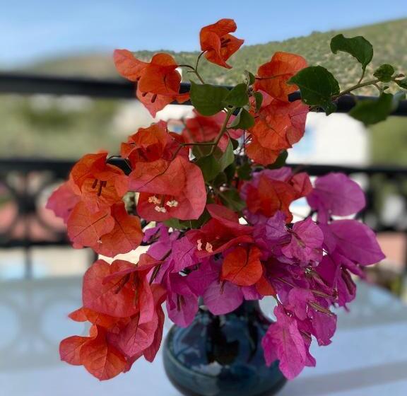 Merve Apartments, Your Home From Home In Central Bodrum, Street Cats Frequent The Property, Not All