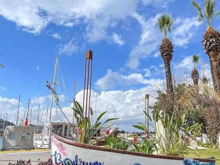 Merve Apartments, Your Home From Home In Central Bodrum, Street Cats Frequent The Property, Not All