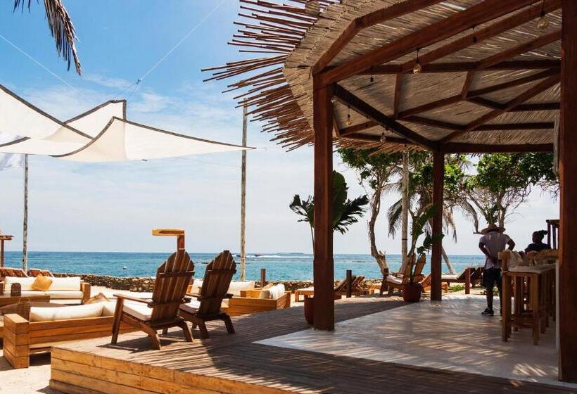 هتل Sunsets Del Rosario