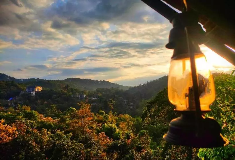 ホテル The Wild Trails Munnar Resort