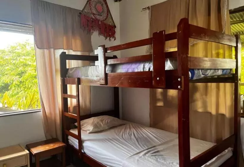 Majatalo Maiku Amazonas