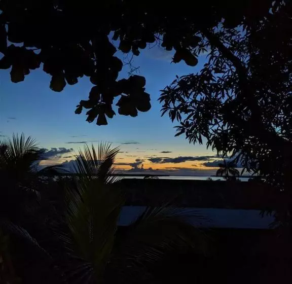 Majatalo Maiku Amazonas