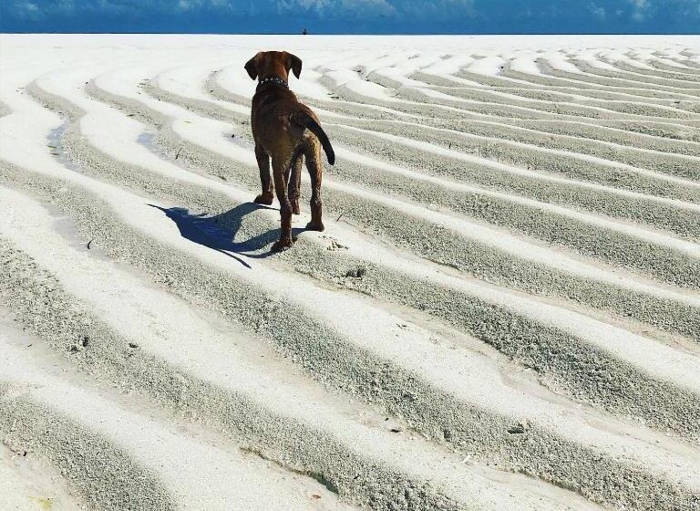 Aurora Boutique Hotel Jambiani