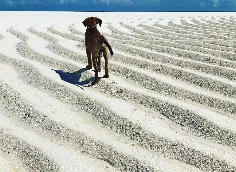 Aurora Boutique Hotel Jambiani