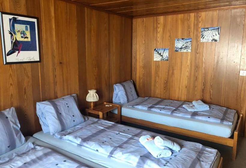 בית מלון כפרי Klenenhorn Rosswald