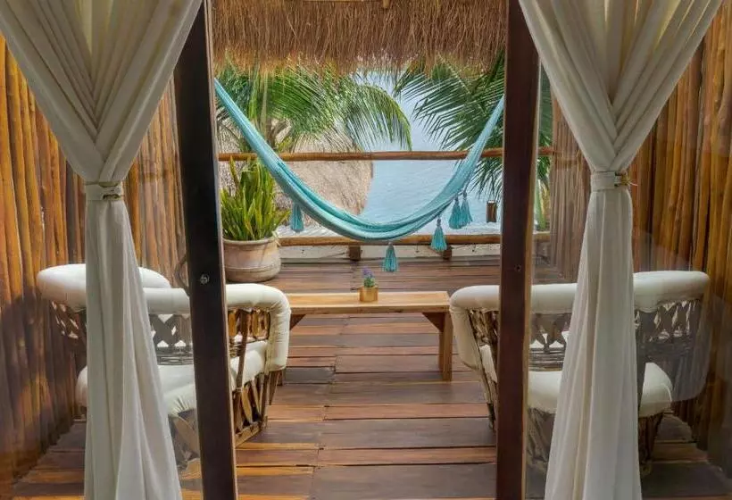 پانسیون Xcabal Hotel Boutique