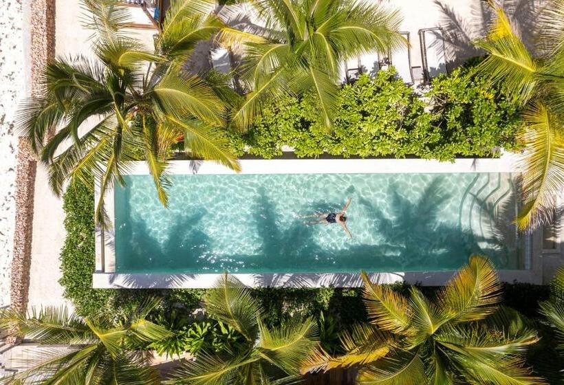 Passion Boutique Hotel Zanzibar   Adults Only