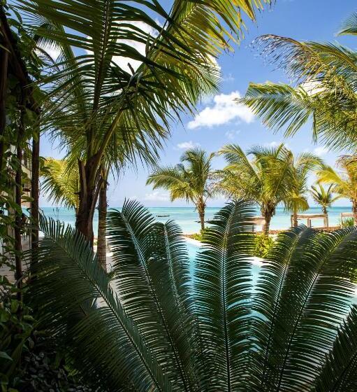 Passion Boutique Hotel Zanzibar   Adults Only