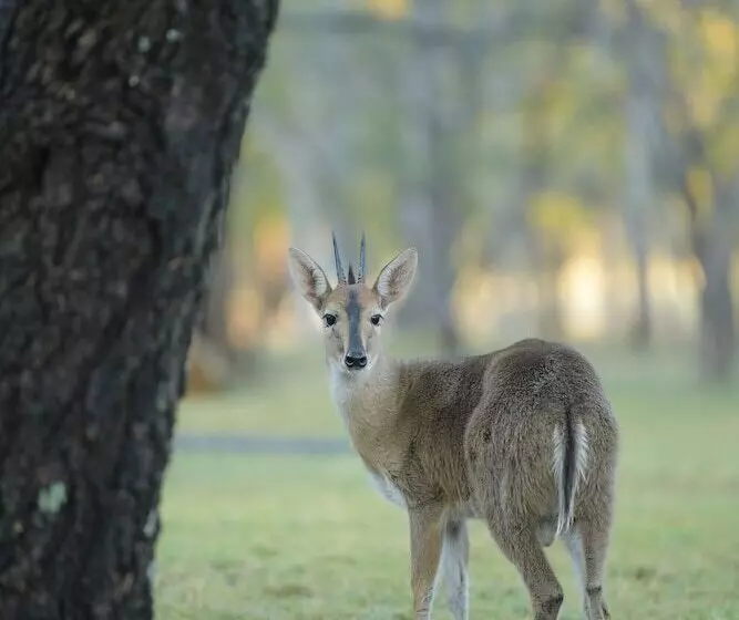 リゾートホテル Atkv Eiland Spa