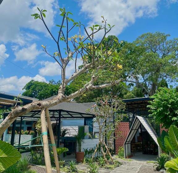 The Jungle Hostel Canggu