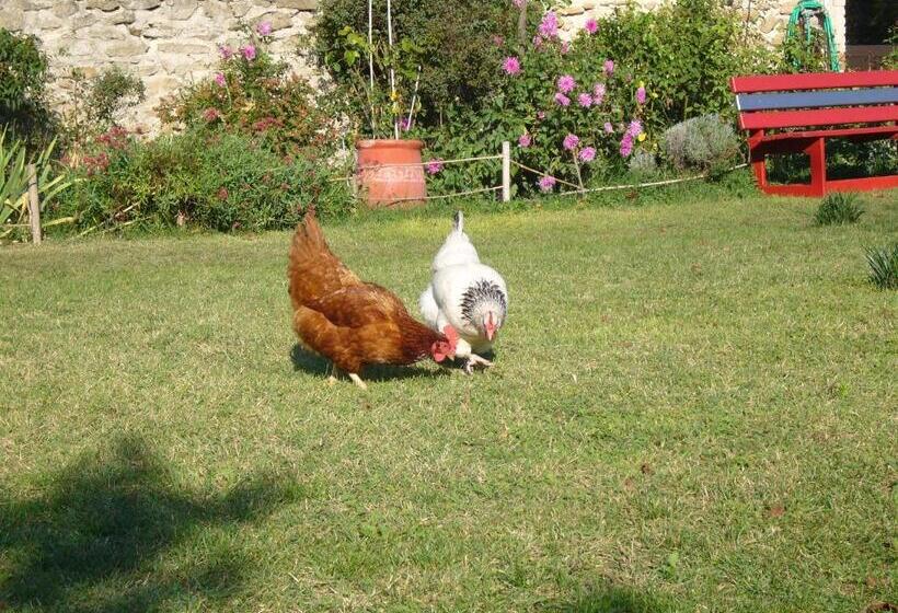 ベッドアンドブレックファースト Chambres D'hôtes Les 7 Semaines