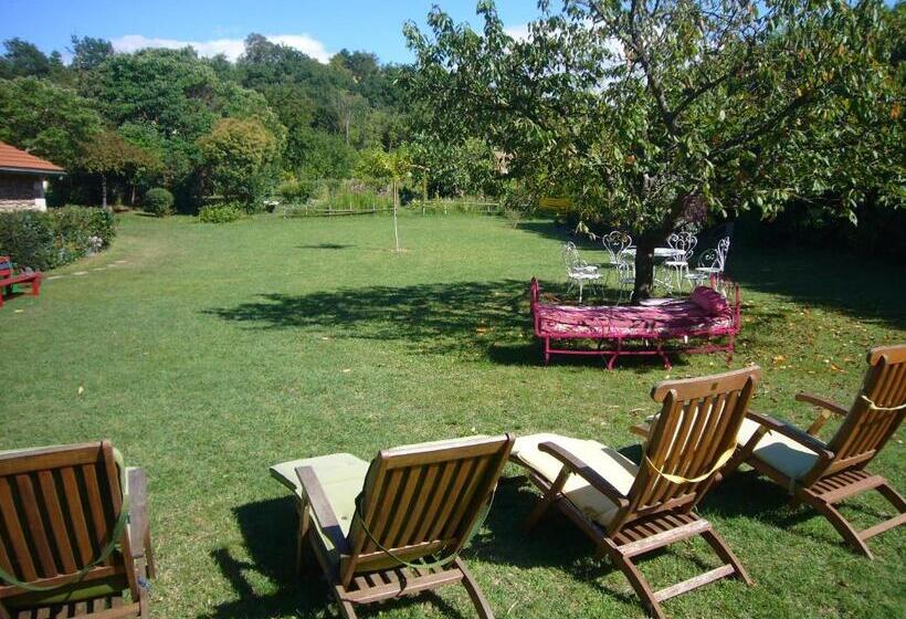 ベッドアンドブレックファースト Chambres D'hôtes Les 7 Semaines