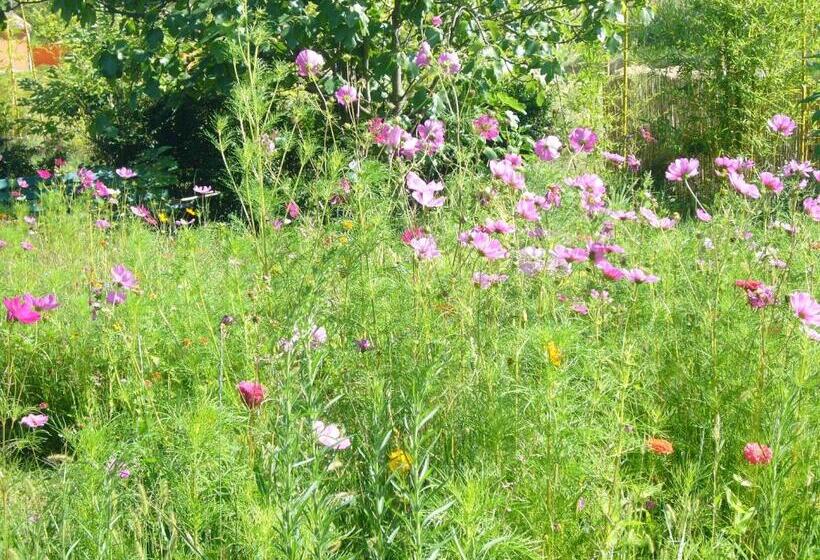 ベッドアンドブレックファースト Chambres D'hôtes Les 7 Semaines