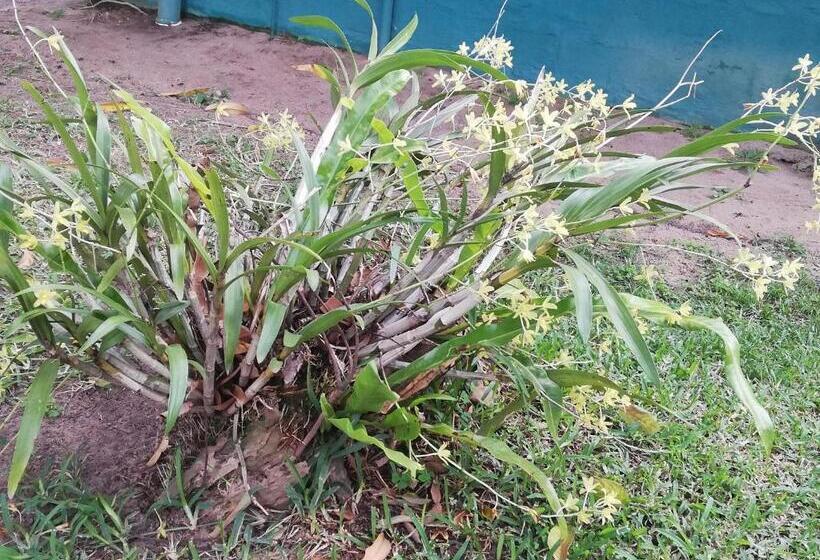 مبيت وإفطار Maputaland Lodge