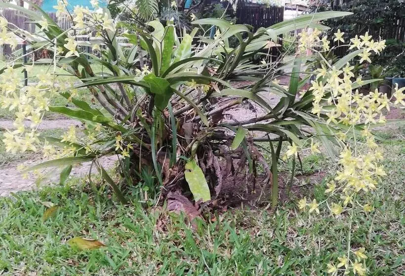 Aamiaismajoitus (B&B) Maputaland Lodge