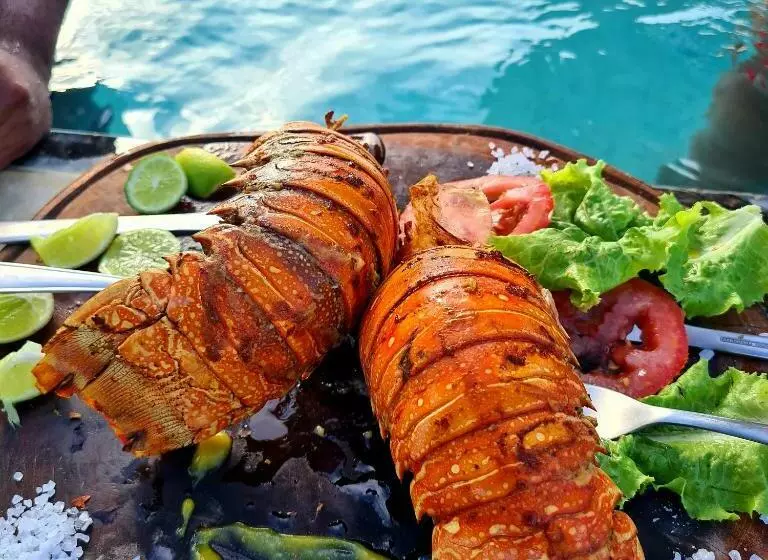 ペンション Pousada E Restaurante Lual Do Parajuru