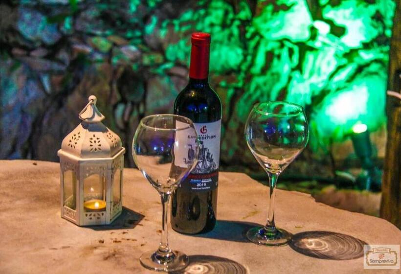 ペンション Pousada Sempreviva