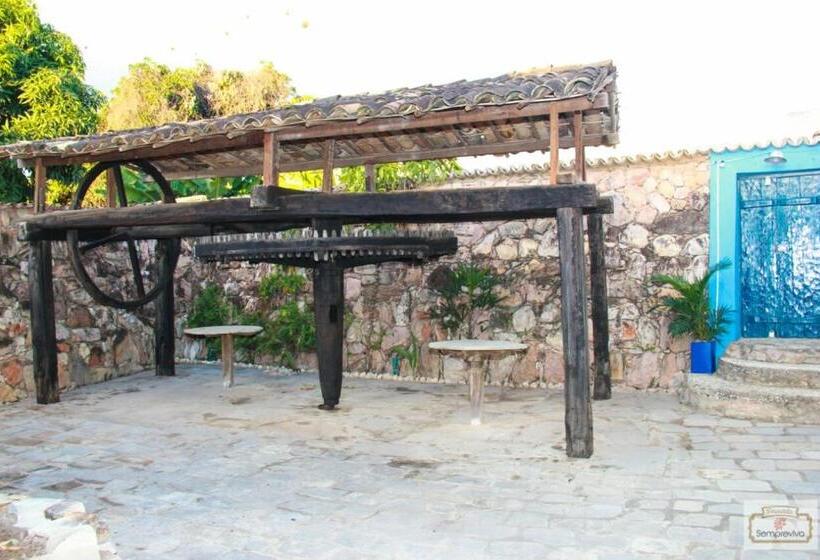 ペンション Pousada Sempreviva