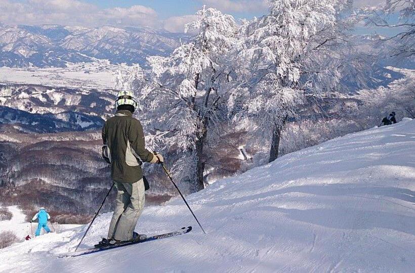 هاستل Ringo Jam Madarao