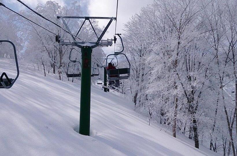 هاستل Ringo Jam Madarao