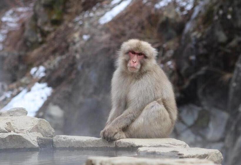 هاستل Ringo Jam Madarao