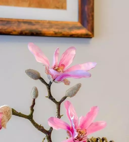 Arbio I 1a Rooms & Apartments Prenzlauerberg Berlin