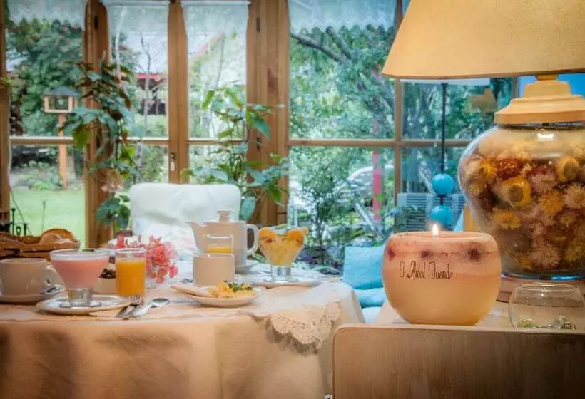 هتل Hostería El Arbol Duende