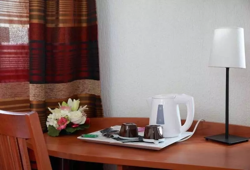 ホテル Alerion Centre Gare