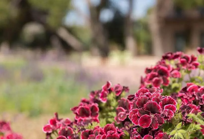 ホテル Hôtel Spa La Romana, The Originals Relais