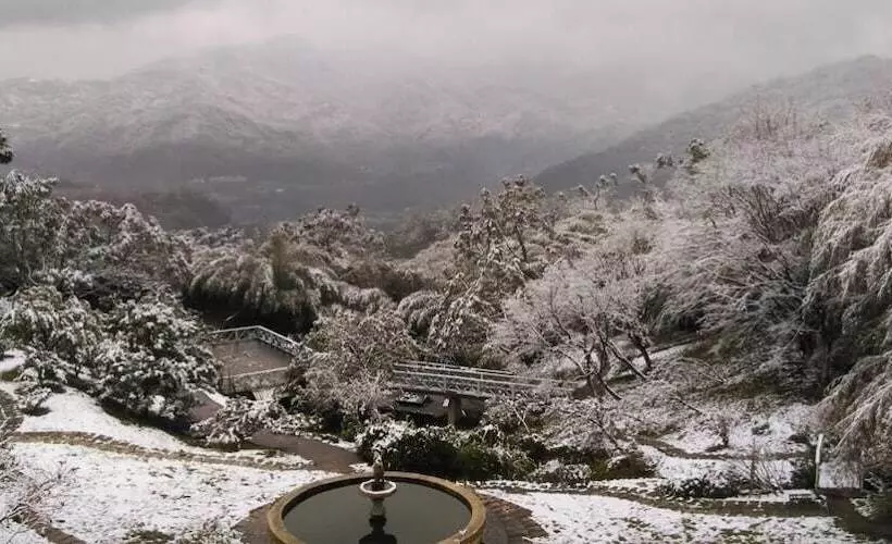 هتل Prado Hill Holiday