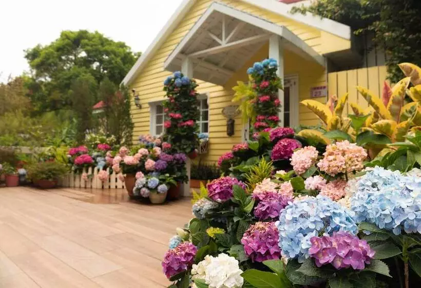 هتل Prado Hill Holiday