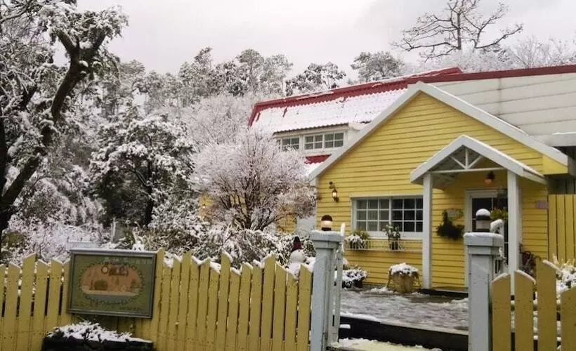 هتل Prado Hill Holiday