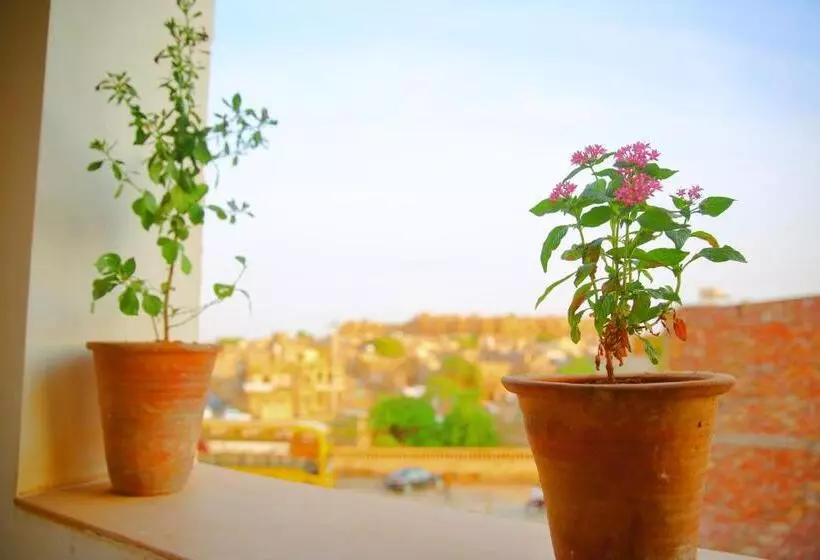 تختخواب و صبحانه The Wanderlust Guest House & Safari