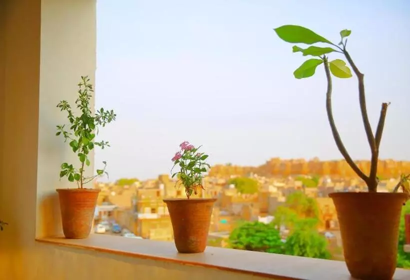 تختخواب و صبحانه The Wanderlust Guest House & Safari